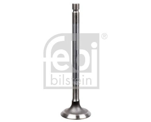 Intake Valve